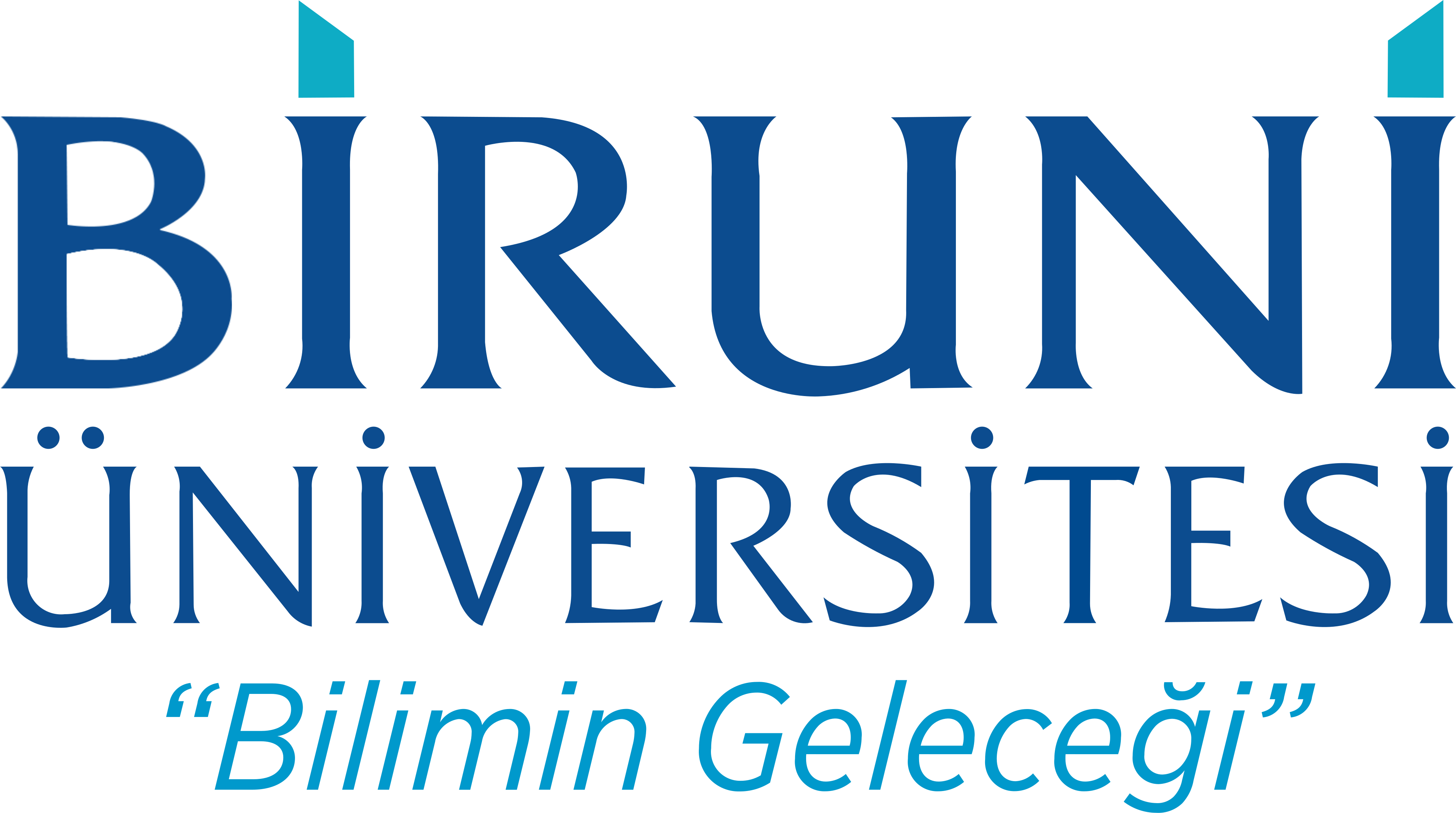 Biruni Üniversitesi